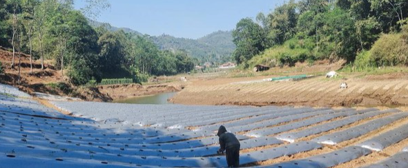 Kejelian Ijip Sulap Sungai Cibitung yang Mengering Jadi Kebun Cabai